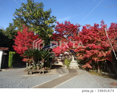 里山 里山 59691674