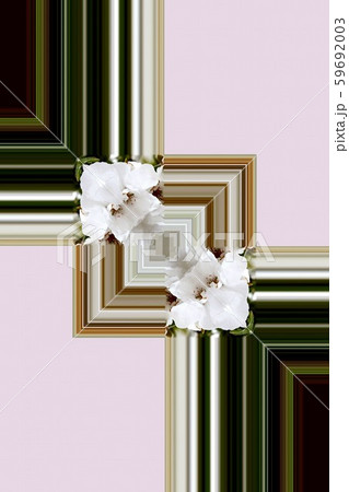 「ポスター制作用イラスト」テーマ「桜」No.24 59692003