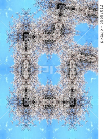 「ポスター制作用イラスト」テーマ「桜」No.16 「ポスター制作用イラスト」テーマ「桜」No.16 59692012