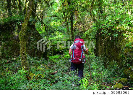 Annapurna Circuit Trek in Pokhara, Nepal 59692065