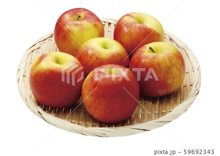 リンゴ_シャズ01（パス付） 59692343