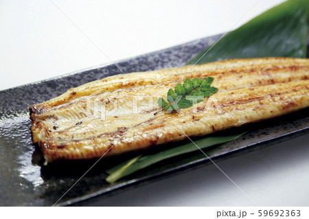ウナギ白焼き05 ウナギ白焼き05 59692363