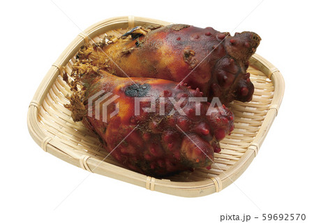 ホヤ04（パス付） 59692570