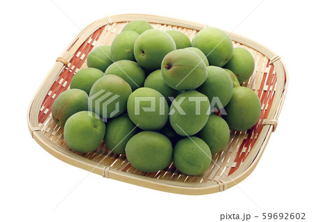 梅03（パス付） 59692602