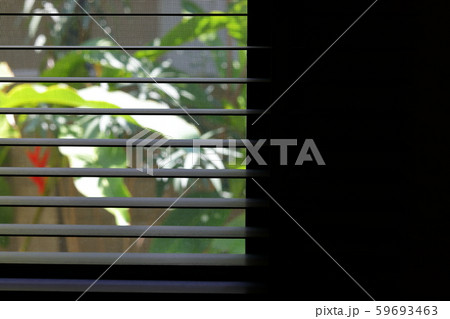 brown blind shade and mosquito wire screen on window, interior design decoration in home office 59693463
