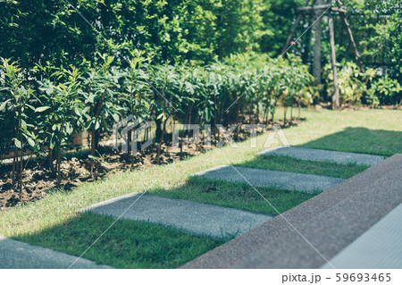 square stone block walkway laying on green grass decorated in backyard garden 59693465
