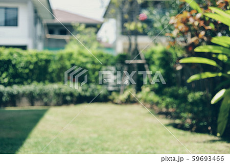 image blur background of lawn landscaping with green grass turf small plant outside home garden image blur background of lawn landscaping with green grass turf small plant outside home garden 59693466