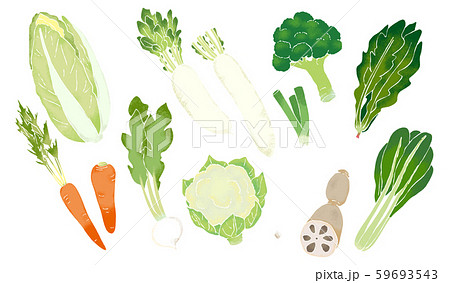 冬野菜のイラストのイラスト素材