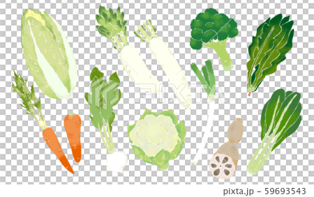 冬野菜のイラストのイラスト素材 59693543 Pixta