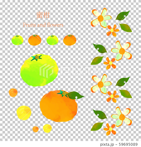 Tangerine watercolor style set 59695089