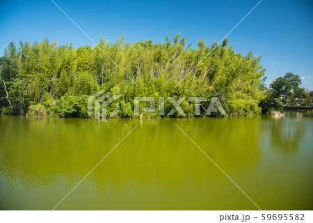 百舌鳥古墳群 59695582