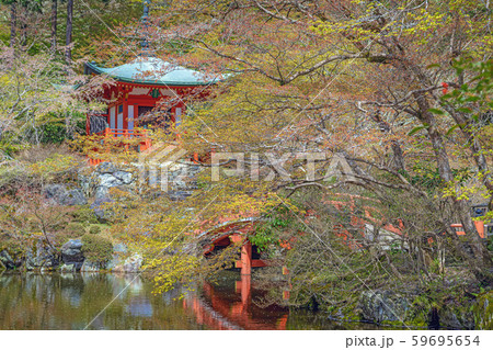 京都 醍醐寺 弁天堂と林泉の春景色 59695654