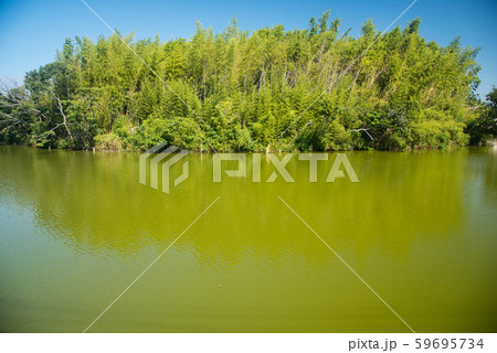 百舌鳥古墳群 59695734