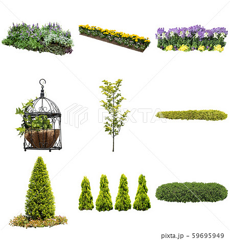 カラーリーフガーデン植物切り抜き 59695949