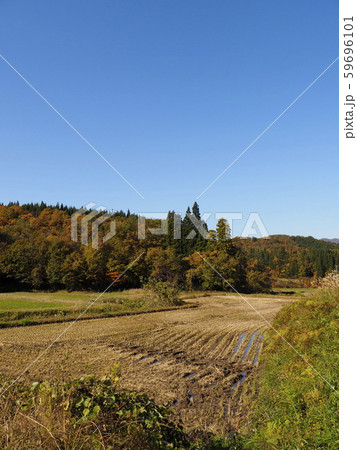 11月田舎の風景【新潟県胎内市幾地】 11月田舎の風景【新潟県胎内市幾地】 59696101
