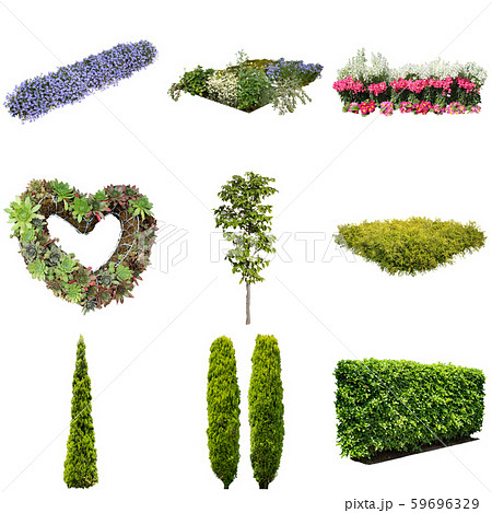 カラーリーフガーデン植物切り抜き カラーリーフガーデン植物切り抜き 59696329