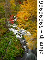 阿寒湖滝口の紅葉 59696966