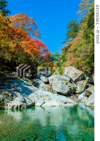 仁淀ブルーブルー 仁淀ブルーブルー 59698189