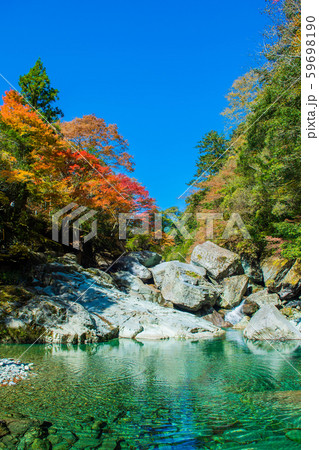 仁淀ブルーブルー 59698190