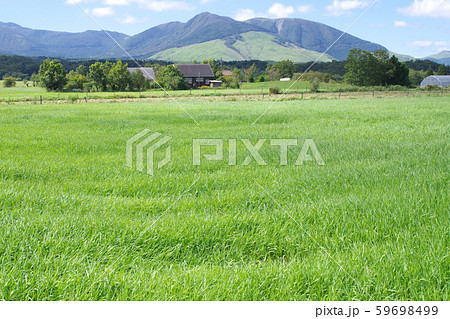 飯田高原の牧場と泉水山の景色 飯田高原の牧場と泉水山の景色 59698499