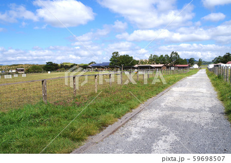 飯田高原の牧場と横切る道の景色 59698507