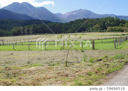 飯田高原の牧場と九重の山々 飯田高原の牧場と九重の山々 59698519