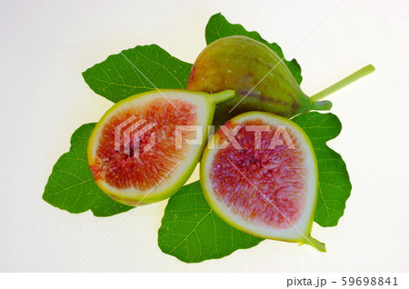 イチジクの果実と葉 イチジクの果実と葉 59698841