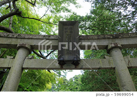 志賀理和気神社の参道鳥居 志賀理和気神社の参道鳥居 59699054