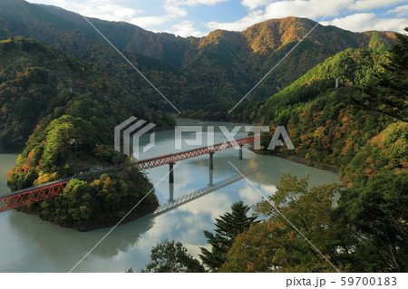 早朝の奥大井湖の紅葉 59700183
