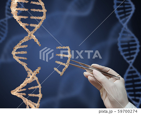 The DNA molecule The DNA molecule 59700274