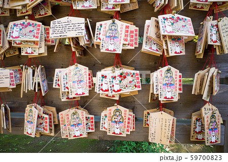 豪徳寺 豪徳寺 59700823
