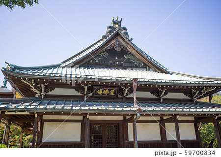 豪徳寺 豪徳寺 59700834