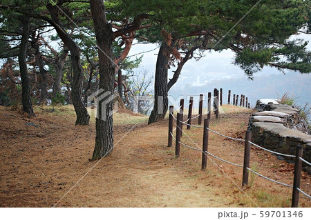 伝燈寺 性 酸 59701346