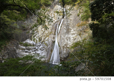 布引の滝 雄滝(兵庫県神戸市中央区) 布引の滝 雄滝(兵庫県神戸市中央区) 59701508