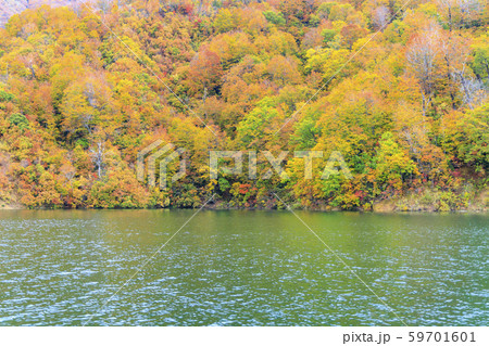 奥只見湖　周遊コース　秋 59701601