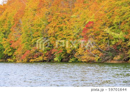 奥只見湖　周遊コース　秋 59701644