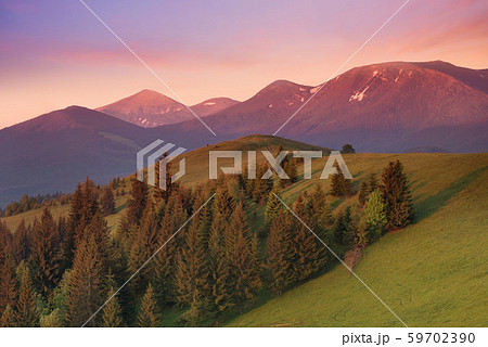 Summer landscape Summer landscape 59702390