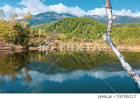 まいめの池：秋：乗鞍岳：一の瀬園地　　　松本市安曇 59706217