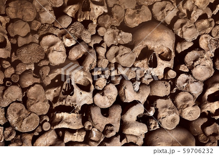 Skulls and bones in a wall 59706232