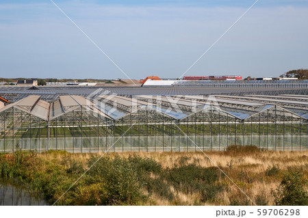 Greenhouse agricultural production 59706298