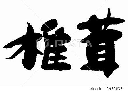 筆文字　椎茸 59706384