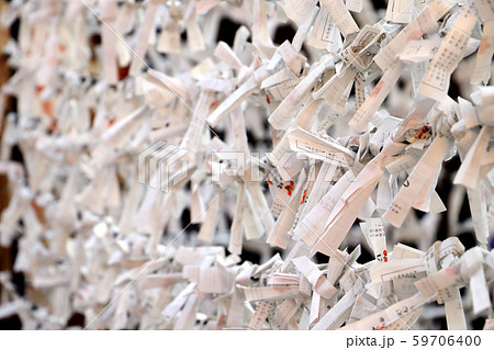 湯島天神　境内に結ばれたおみくじ 59706400