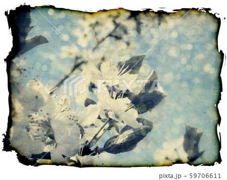 Grunge plum blossoms Grunge plum blossoms 59706611