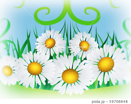 Daisies and ribbon 59706648