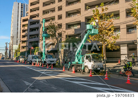 高所作業車による街路樹剪定作業 59706835