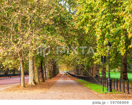 秋のロンドン　グリーン・パーク 59706909