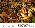 枯れ葉 59707411