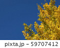 空とイチョウ 59707412