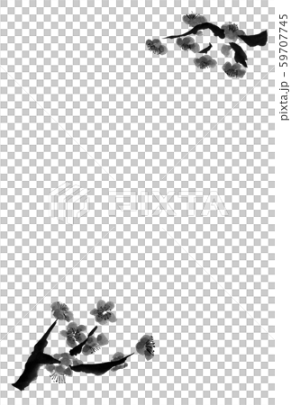 梅の挿絵(はがき) 梅の挿絵(はがき) 59707745