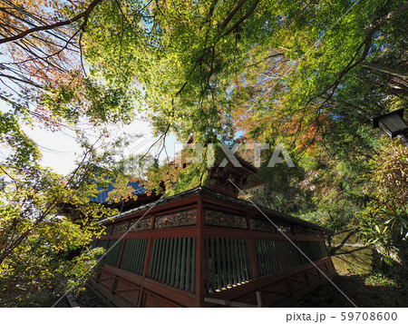 東京都・高尾山薬王院 紅葉 青空 / Yakuoin, Mt. Takao, Tokyo 東京都・高尾山薬王院 紅葉 青空 / Yakuoin, Mt. Takao, Tokyo 59708600
